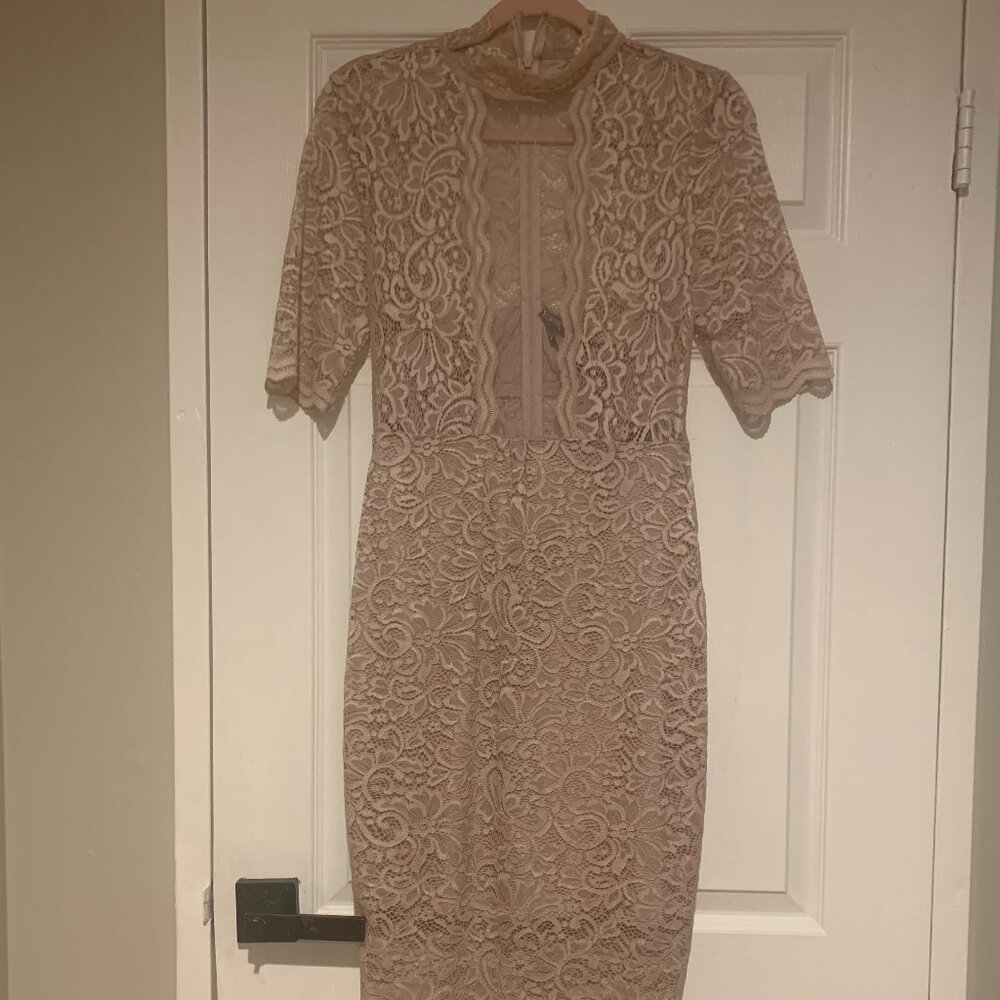 Express Pink Lace Dress